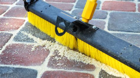 Šunų šlapimo dėmės ant kilimo ir jos valymas