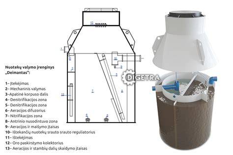 Pavyzdinė medienos valymo lazeriu schema