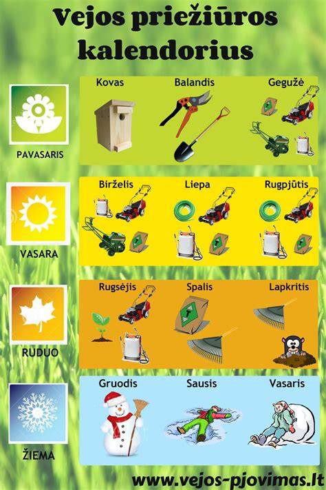 Infografika: priežiūros kalendorius