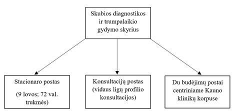 Infografika: stiklo pluošto gamybos ir paviršiaus gydymo schema