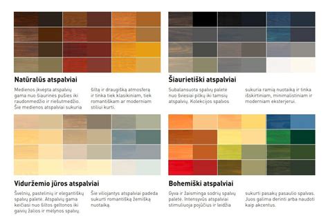 Infografika apie dažų paruošimo etapus