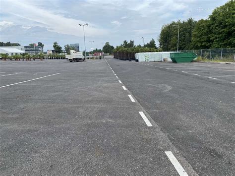 Asfaltuotos aikštelės priežiūra