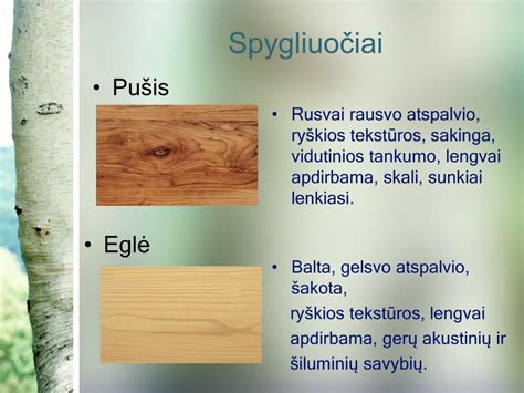 Infografika: Medienos rūšys pagal paskirtį, tankį ir kietumą
