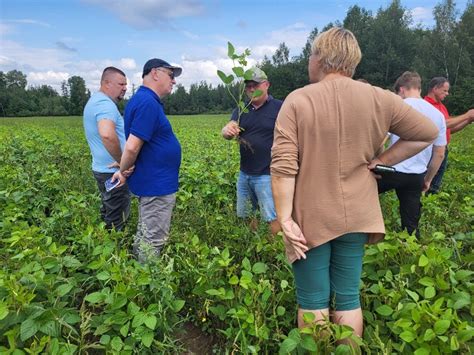 Veidrodžių panaudojimas erdvės vizualiniam didinimui