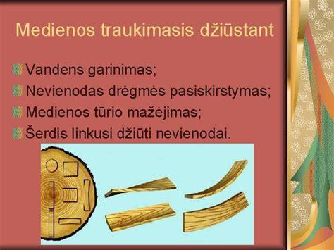 Infografika: Medienos išeigos ir produktų pasiskirstymas