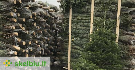 Eglutės rašto platus pasirinkimas vinilinėse grindyse