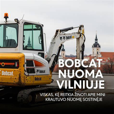 Klojinių nuoma ir įsigijimas: ką reikia žinoti