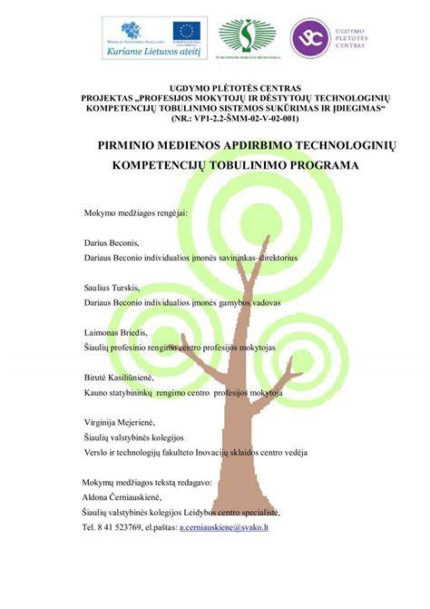 Medienos apdirbimo gamybos procesas - schemų infografika