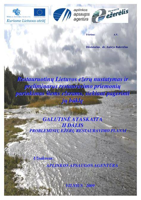 Etaloninė medienos restauravimo priemonių apklausa infografika