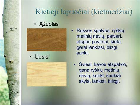 Medienos rūšys ir klasifikavimas diagramoje