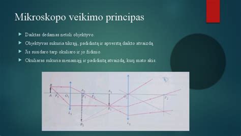 Vibro liniuotės veikimo principas