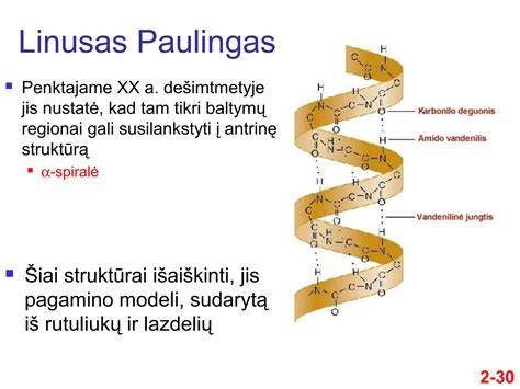Infografika: Poliuretaninių klijų molekulinė struktūra ir kietėjimo procesas