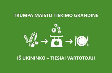Infografika: salotų tiekimo grandinė ir kokybės reikalavimai