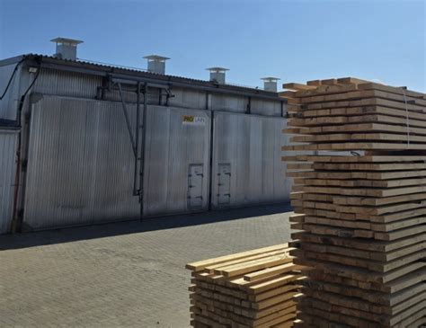 Procesas džiovinimo medienos