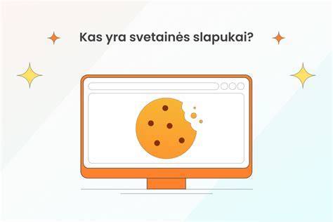 Infografinis vaizdas apie slapukų tipų ir Pixel žymos veikimą