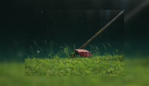 Natūralios vs sintetinės sudedamosios dalys: ką rinktis?