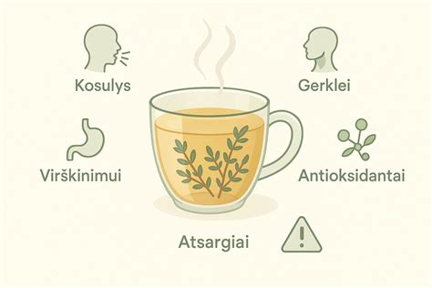 Tema: infografika apie kvėpavimo technikas ir jų poveikį