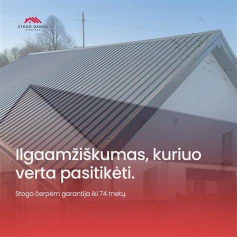 Terasos dangų pasirinkimo spektras