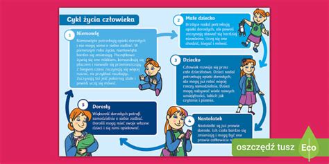 Infografika: Polistirolo granulių panaudojimas