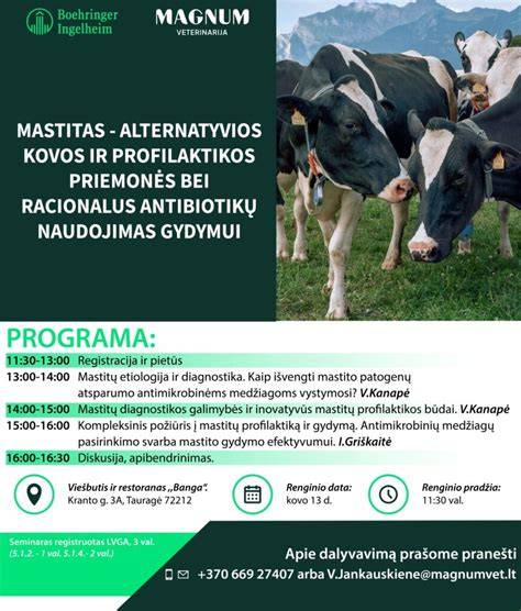Infografika: įrenginių profilaktikos ciklai ir rekomenduojamos priemonės