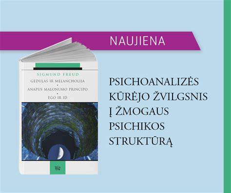 Infografika: Kultūros komponentų ir jų įtakos žmogaus socialiniam identitetui diagramoje