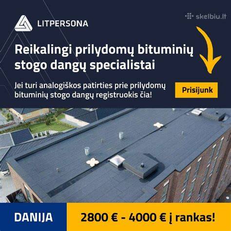 Prilydomos dangos klojimo vaizdas