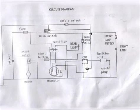 Ilgaamžiškumo schemos diagrama