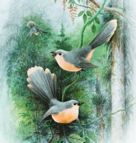 Procesas, kaip užsakyti spausdinti nuotraukas internetu