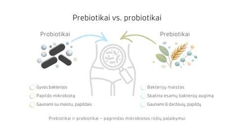 Žarnyno mikrobiotos balanso veikimo schema