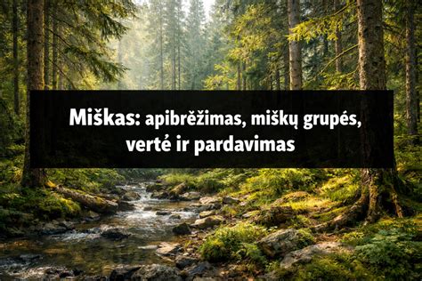 Infografika: VMG grupės teikiama vertė ir investicijų struktūra