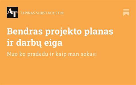 Savininko planas: ploto išlaidos ir darbų eigą