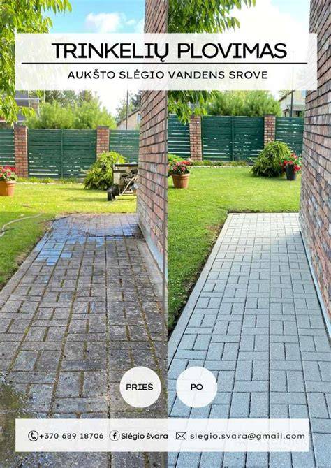 Stogo plovimo ir dažymo sekimas (infografika)