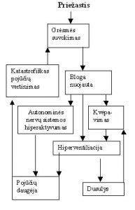 Infografika: Cementų tipų priklausomybės schema