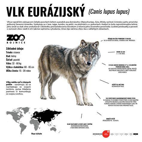 Infografika: Keraminė plyta M150 SK S5 ir jos taikymo sferos