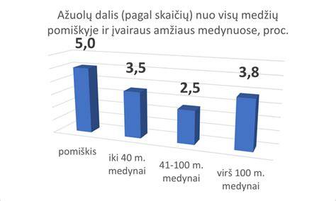 Kainų priklausomybės grafikas: gamintojas vs medis vs kiekis