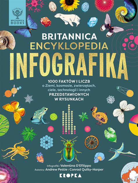 Raudonmedžio lakavimo procesų seka (infografika)
