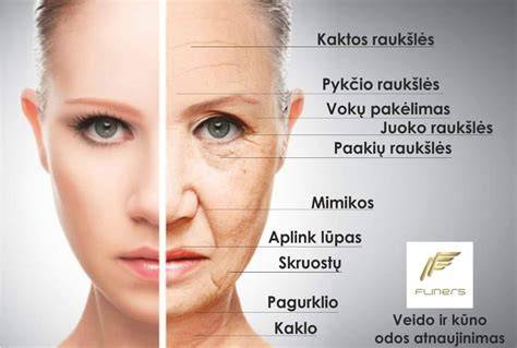 Infografika: Asfalto dangos sluoksniai (pagrindas, apatinis sluoksnis, viršutinis sluoksnis, skirtingos markės)