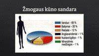 Infografika: Mūro skiedinių sudėtinių medžiagų skirstymas