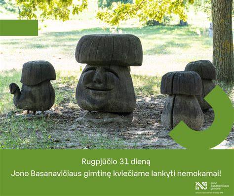 Gamtinių medžiagų palyginimas: keramika vs silikatai vs dujų silikatas