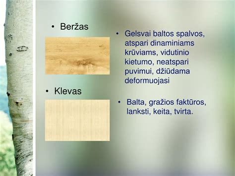 Infografika: medienos rūšys ir jų taikymo sritys