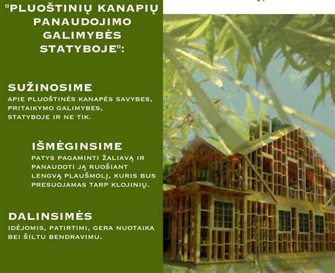 Infografika: Kanapių spalių blokelių panaudojimo galimybės