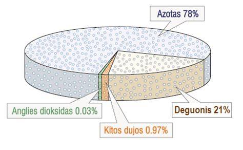 EPS kilmė ir sudėtis: 98% oro, 2% stireno kapsulės