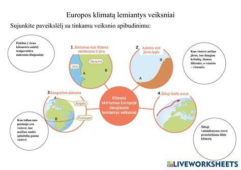 Infografika: veiksniai, lemiantys kainą (rūšis, kokybė, sortimentas, logistika)