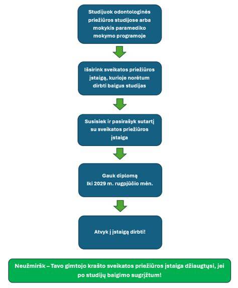 Infografika: naudotų dalių pirkimo procesas
