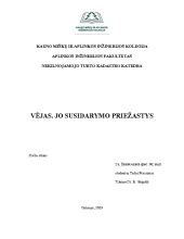 Infografika: plyšių susidarymo priežastys ir pataisos