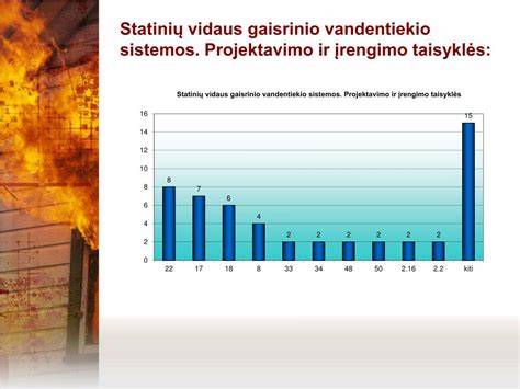 Infografika: statinio pripažinimo tinkamu naudoti proceso schema
