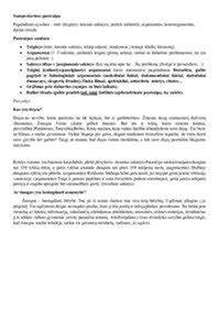 Klojinių faneros pjovimo pavyzdys ir apsaugos priemonės