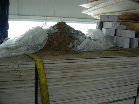 Smėlio betono nuoseklumas ir pritaikymas