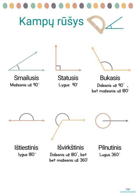 Būgnas su kampu ir standartinėmis apsukomis: optimalus valgymo kampas ir klostymosi plėtotė