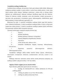 Statybinių medžiagų klasifikacija